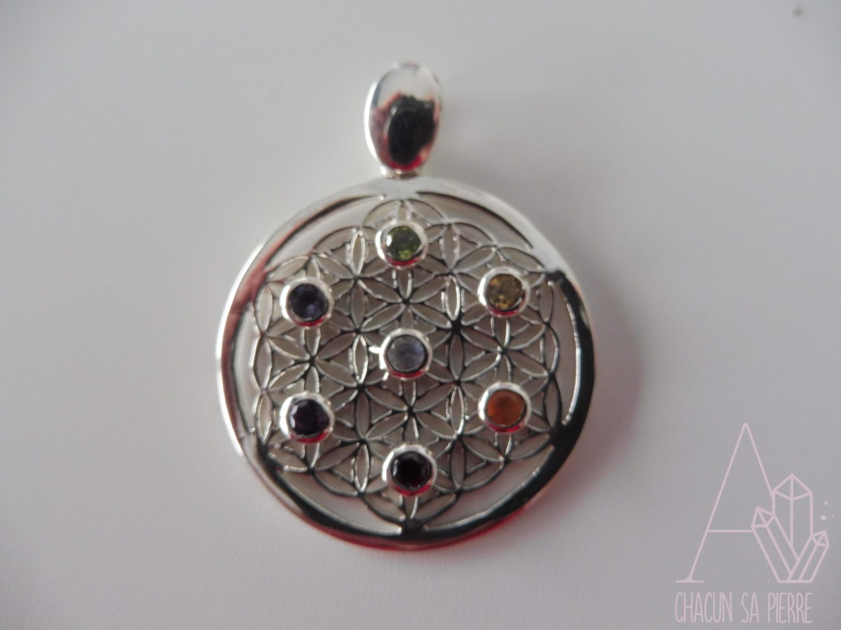 7 chakras pendentif fleur de vie