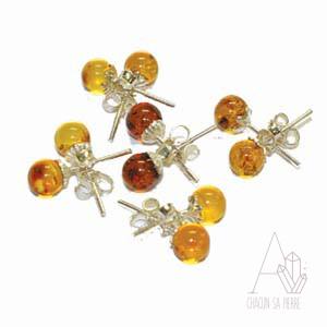 ambre puces