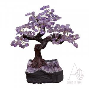 banzaÏ améthyste arbre
