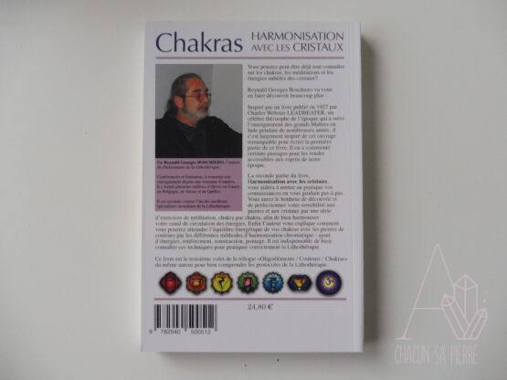 Chakras harmonisation avec les cristaux – Image 2