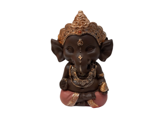 Ganesh Protection