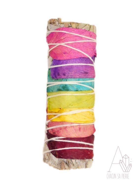 Sauge 7 chakras