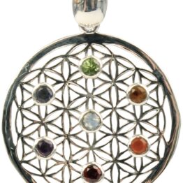 7 chakras pendentif argent Fleur de vie