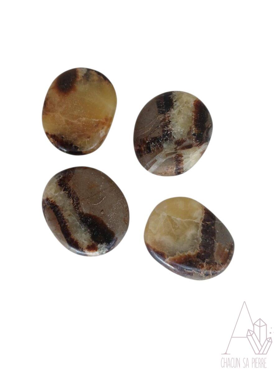 septaria galet